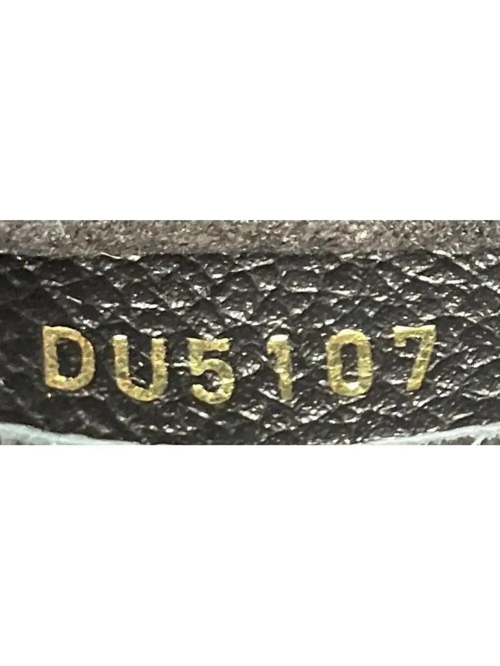 Louis Vuitton introducing louis
